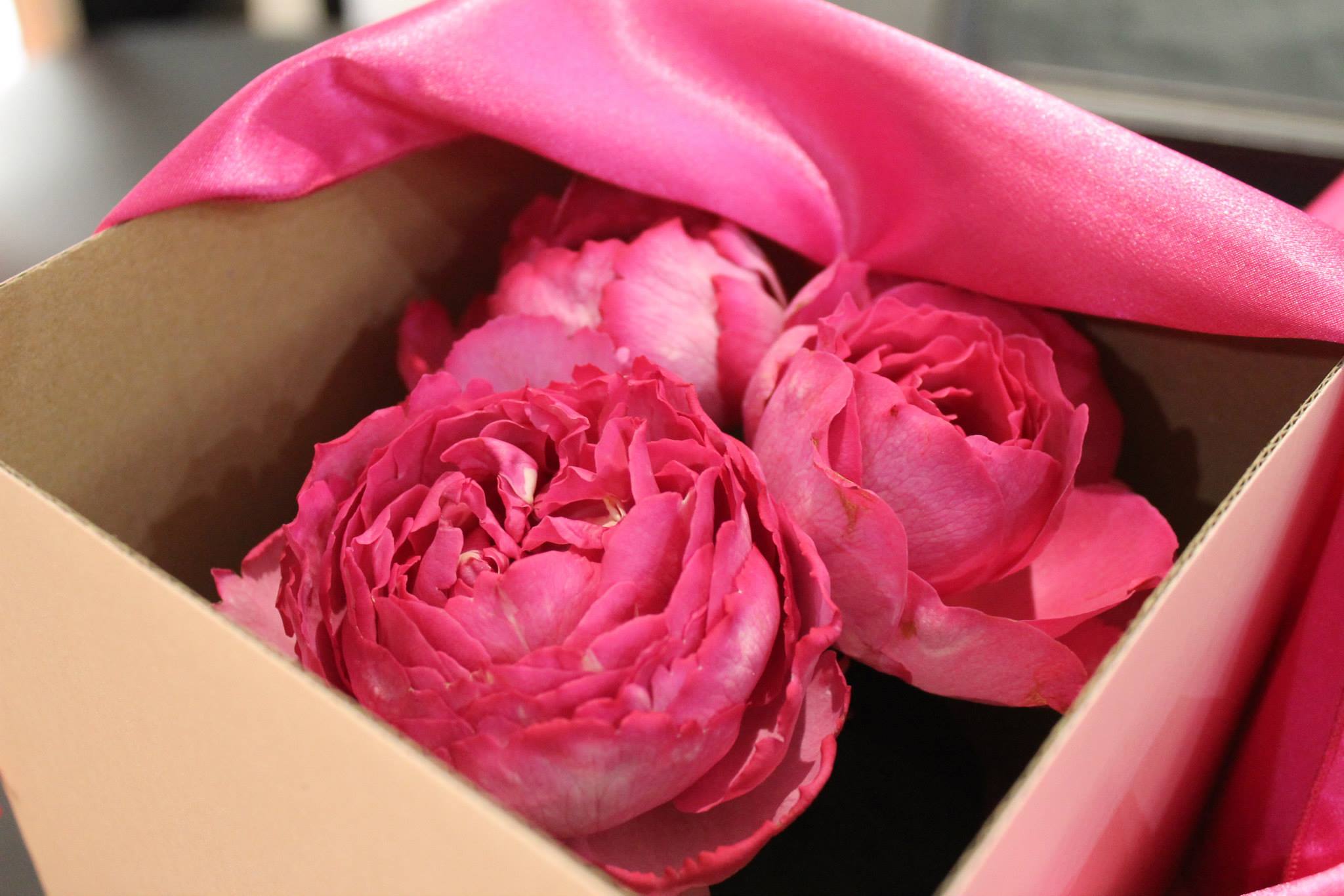 Wintergreen Flower PLT | EVENTS - Piaget